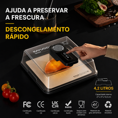 Bandeja de descongelamento USB para carne congelada