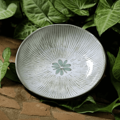 Prato Fundo Bio Evergreen 22,5cm